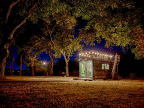 Elegant Container Tiny House Yellow & Blue